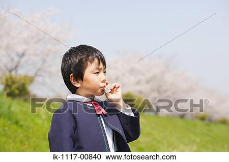 Japanese boy blowing flower View Large Photo Image Stock Image - Japanese boy blowing flower. Fotosearch