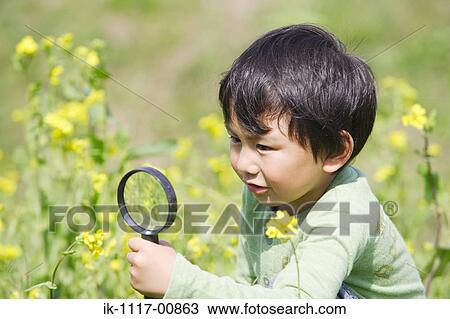 Stock Image - Japanese boy looking at flowers with magnifying glass. Fotosearch