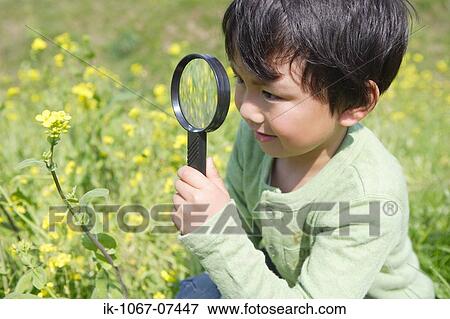 Stock Photo - Japanese boy looking at flowers with magnifying glass. Fotosearch