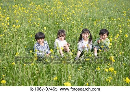 Japanese children sitting in mustard field View Large Photo Image Stock Photography - Japanese children sitting in mustard field. Fotosearch