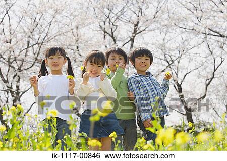 Japanese children standing together holding flowers View Large Photo Image Stock Photograph - Japanese children standing together holding flowers. Fotosearch