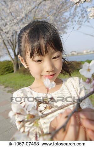Japanese girl looking at flowers View Large Photo Image Stock Photo - Japanese girl looking at flowers. Fotosearch