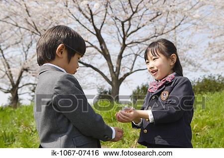 Japanese kids playing with cherry flowers View Large Photo Image Stock Photograph - Japanese kids playing with cherry flowers. Fotosearch