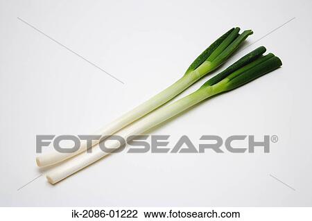 Japanese Leek on White Background View Large Photo Image Stock Image - Japanese Leek on White Background. Fotosearch