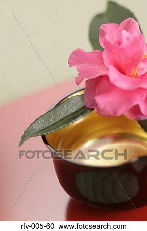 Japanese New Year's Accesories View Large Photo Image Stock Image - Japanese New Year's Accesories. Fotosearch