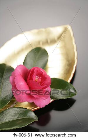 Japanese New Year's Accesories View Large Photo Image Stock Image - Japanese New Year's Accesories. Fotosearch