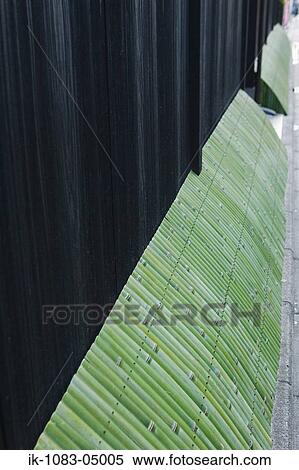Japanese traditional green bamboo dog screen View Large Photo Image Stock Photography - Japanese traditional green bamboo dog screen. Fotosearch