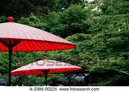 Japanese Umbrellas in Garden View Large Photo Image Stock Photography - Japanese Umbrellas in Garden. Fotosearch