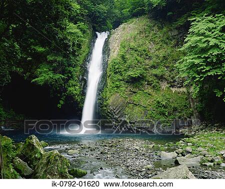 Jourennotaki Waterfall at Shizuoka Prefecture, Japan View Large Photo Image Stock Image - Jourennotaki Waterfall at Shizuoka Prefecture, Japan. Fotosearch