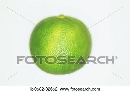 Kabosu Fruit against White Background View Large Photo Image Stock Image - Kabosu Fruit against White Background. Fotosearch