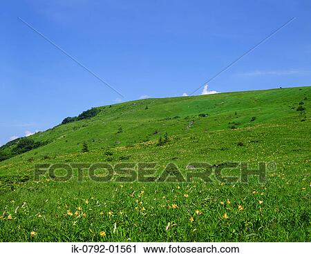 Kirigamine Highland in Nagano Prefecture, Japan View Large Photo Image Stock Image - Kirigamine Highland in Nagano Prefecture, Japan. Fotosearch