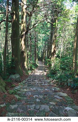Kumano Old Road in Wakayama, Japan View Large Photo Image Picture - Kumano Old Road in Wakayama, Japan. Fotosearch