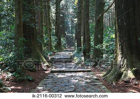 Kumano Old Road in Wakayama, Japan View Large Photo Image Stock Image - Kumano Old Road in Wakayama, Japan. Fotosearch