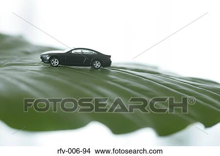 Leaf and Toy Car View Large Photo Image Picture - Leaf and Toy Car. Fotosearch