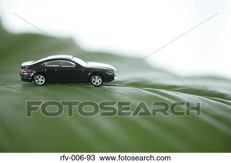 Leaf and Toy Car View Large Photo Image Stock Image - Leaf and Toy Car. Fotosearch