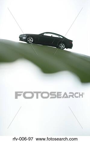 Leaf and Toy Car View Large Photo Image Stock Photo - Leaf and Toy Car. Fotosearch