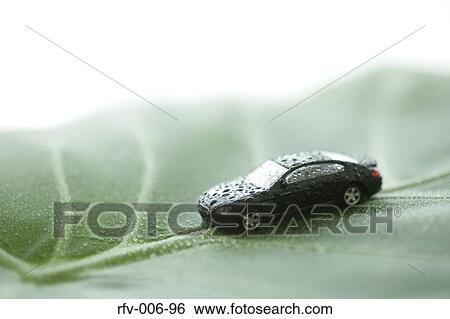 Leaf and Toy Car View Large Photo Image Stock Photograph - Leaf and Toy Car. Fotosearch