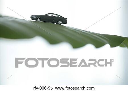 Leaf and Toy Car View Large Photo Image Stock Photography - Leaf and Toy Car. Fotosearch