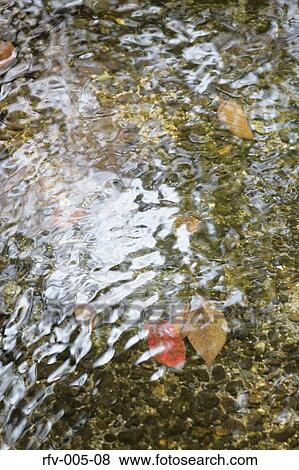 Leaf Flowing on Water View Large Photo Image Stock Photo - Leaf Flowing on Water. Fotosearch