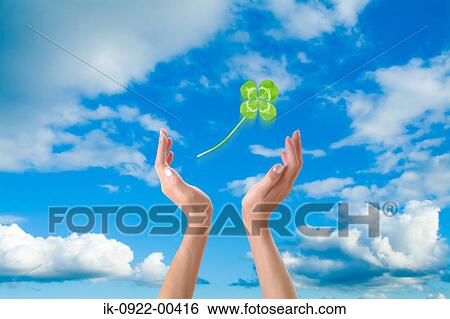Leaf Over Human Hands against Cloudy Sky View Large Photo Image Stock Photograph - Leaf Over Human Hands against Cloudy Sky. Fotosearch