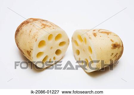 Stock Photo - Lotus Root on White Background. Fotosearch