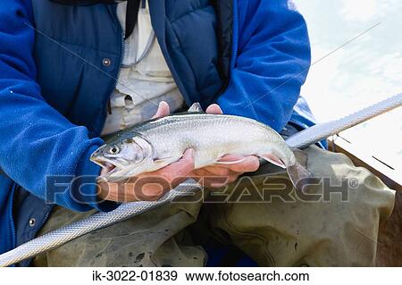 Man Holding Fish in Hand View Large Photo Image Stock Photo - Man Holding Fish in Hand. Fotosearch