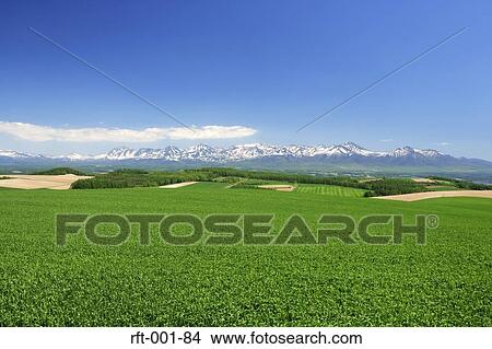 Meadow Fields View Large Photo Image Picture - Meadow Fields. Fotosearch