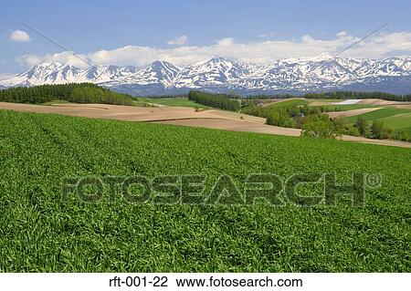 Meadow Fields View Large Photo Image Stock Image - Meadow Fields. Fotosearch