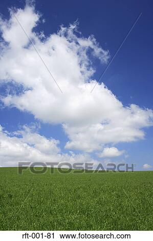 Meadow Fields View Large Photo Image Stock Image - Meadow Fields. Fotosearch