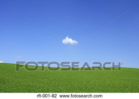 Meadow Fields View Large Photo Image Stock Image - Meadow Fields. Fotosearch