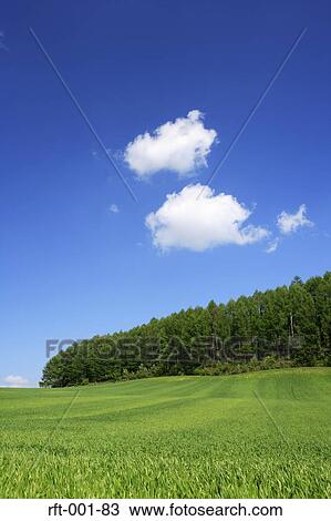 Meadow Fields View Large Photo Image Stock Image - Meadow Fields. Fotosearch