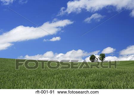 Meadow Fields View Large Photo Image Stock Image - Meadow Fields. Fotosearch