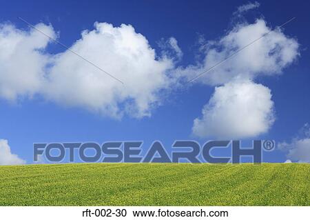 Stock Image - Meadow Fields. Fotosearch