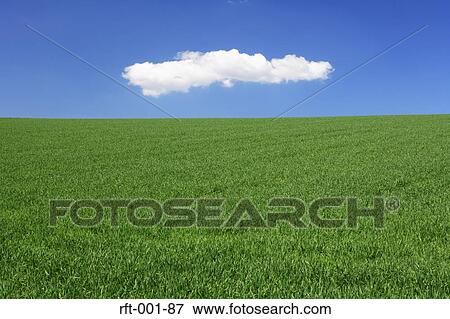Meadow Fields View Large Photo Image Stock Photo - Meadow Fields. Fotosearch