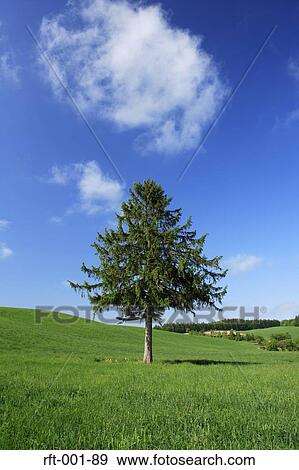 Meadow Fields View Large Photo Image Stock Photo - Meadow Fields. Fotosearch