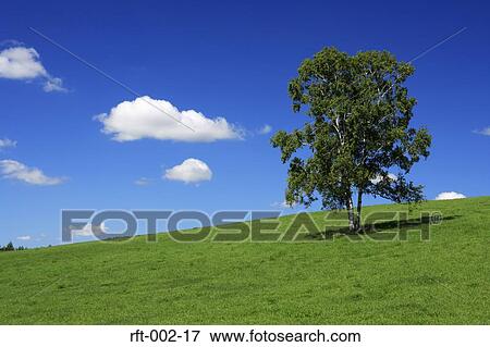 Meadow Fields View Large Photo Image Stock Photo - Meadow Fields. Fotosearch