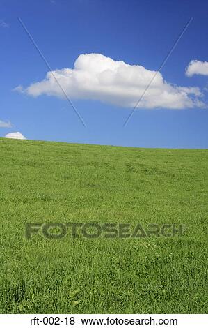 Meadow Fields View Large Photo Image Stock Photo - Meadow Fields. Fotosearch