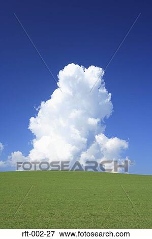 Meadow Fields View Large Photo Image Stock Photo - Meadow Fields. Fotosearch