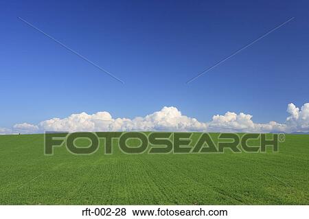 Meadow Fields View Large Photo Image Stock Photo - Meadow Fields. Fotosearch