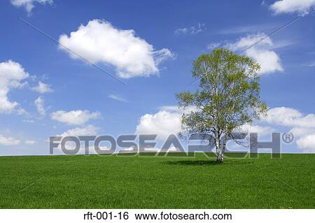 Meadow Fields View Large Photo Image Stock Photograph - Meadow Fields. Fotosearch
