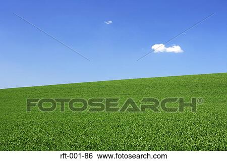 Meadow Fields View Large Photo Image Stock Photograph - Meadow Fields. Fotosearch
