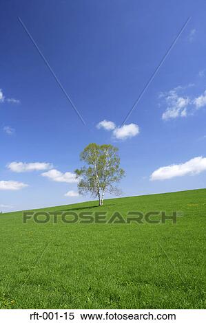 Meadow Fields View Large Photo Image Stock Photography - Meadow Fields. Fotosearch