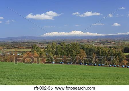 Stock Photography - Meadow Fields. Fotosearch
