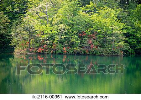 Stock Image - Ochikuchi Pond in Japan . Fotosearch