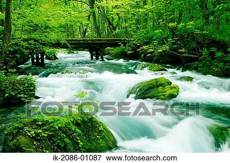 Oirase Stream Passing From Forest in Aomori Prefecture View Large Photo Image Stock Photo - Oirase Stream Passing From Forest in Aomori Prefecture. Fotosearch