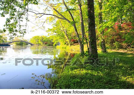 Stock Image - Onuma Park in Hokkaido, Japan. Fotosearch