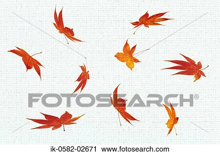 Painting of Maple Leaves View Large Photo Image Stock Image - Painting of Maple Leaves. Fotosearch