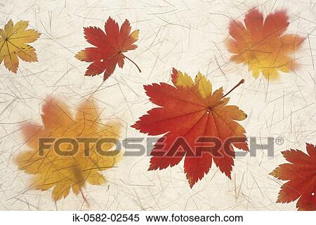 Painting of Maple Leaves View Large Photo Image Stock Photography - Painting of Maple Leaves. Fotosearch