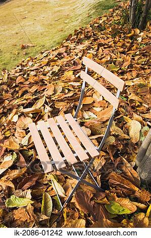 Park Chair in the Autumn View Large Photo Image Stock Image - Park Chair in the Autumn. Fotosearch