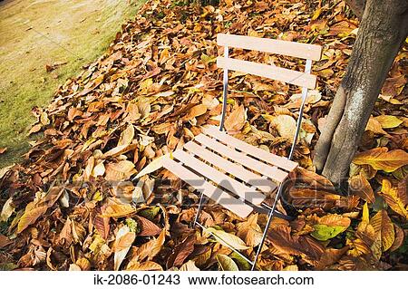 Park Chair in the Autumn View Large Photo Image Stock Image - Park Chair in the Autumn. Fotosearch